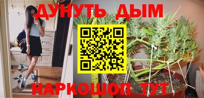 индика Кулебаки