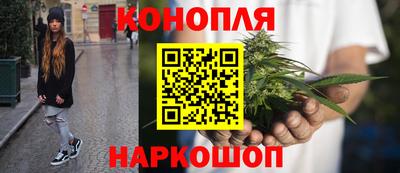 индика Кулебаки