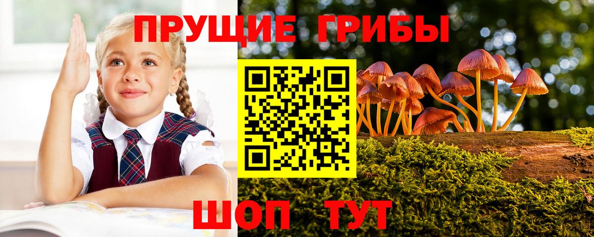 Галлюциногенные грибы прущие грибы Зерноград