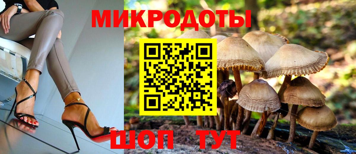 Зерноград  где купить наркотик  Вход с VPN  Псилоцибиновые грибы GOLDEN TEACHER 